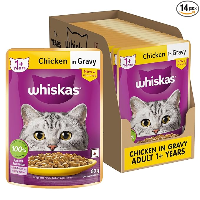 Whiskas Adult (1+ Years) Wet Cat Food, Chicken in Gravy, 80 g (Pack of 14).
